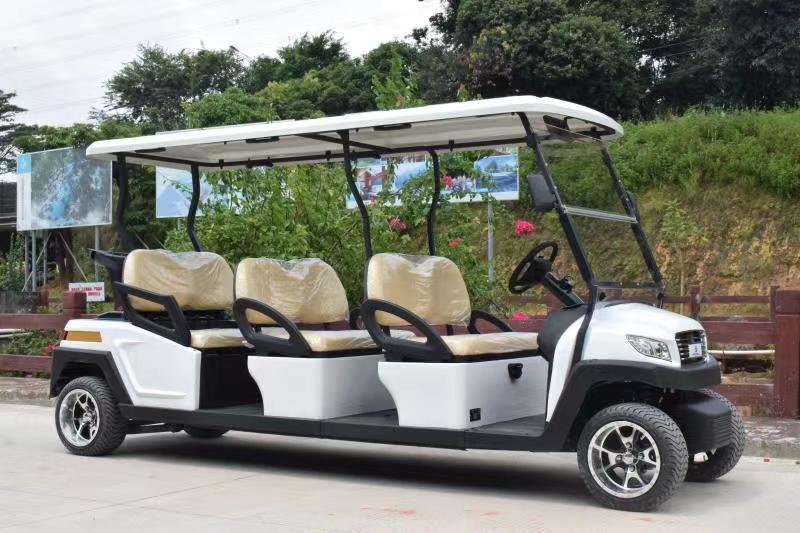 6座麻豆一二三产区高尔夫车M1S6