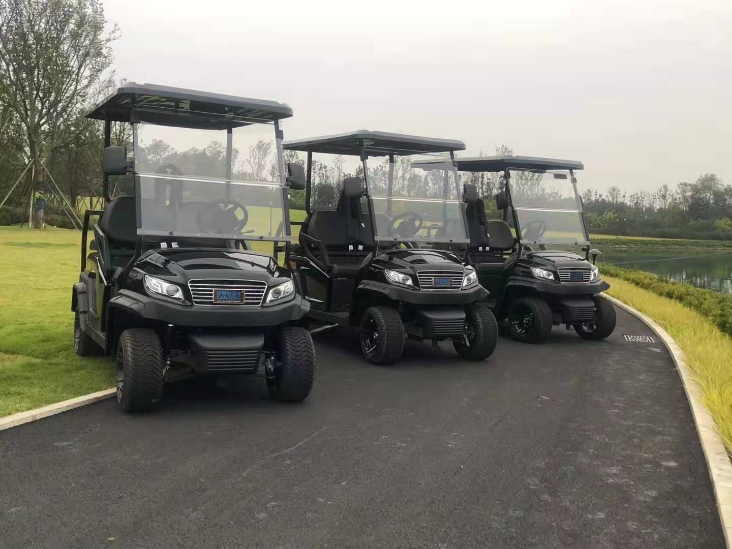 2座麻豆一二三产区高尔夫球车(M1S2)