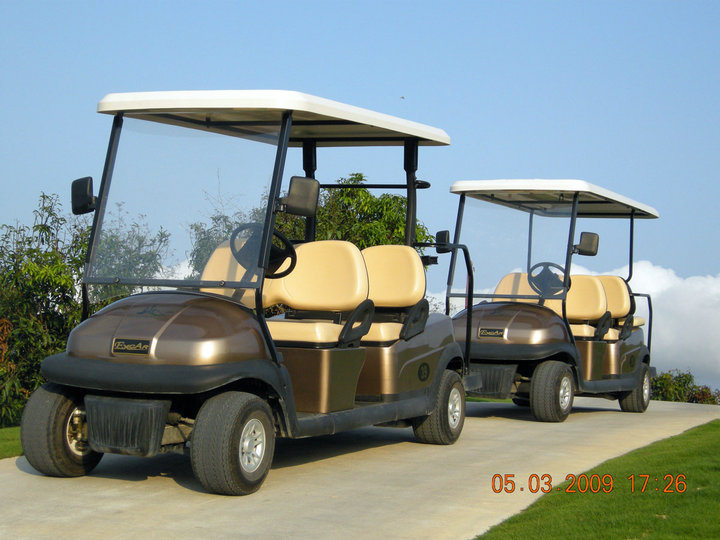 倒排6座麻豆一二三产区高尔夫球观光车